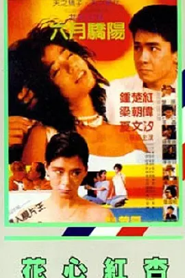 国产免费爽爽视频
