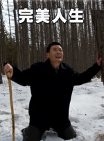十大黄色