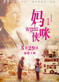 南瓜花的纯情