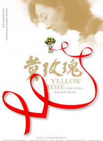 轻佻寡妇k8