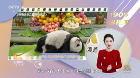 美女露100%胸网友
